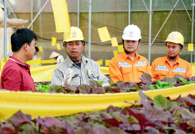 Lịch mất điện Trần Văn Thời